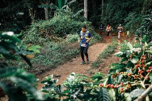 BIB: 
                            <button type="button" onclick="openModal(25856270)" class="btn btn-primary btn-sm float-right btn-popup" data-toggle="modal" data-target=".modal-high-quality">
                        <i class="fas fa-shopping-cart"></i> Add to Cart
                    </button>
                                            <button type="button" onclick="isThisMe(25856270, true)" class="btn btn-success btn-sm float-right btn-popup btn-isme hidden" data-toggle="tooltip" data-placement="bottom" title="นี่คือรูปของคุณใช่ไหม คลิกที่นี่เพื่อเอาเข้าอัลบั้ม">
                        <i class="fas fa-plus"></i> Add to album
                    </button>
                    <button type="button" onclick="isThisMe(25856270, false)" class="btn btn-warning btn-sm float-right btn-popup btn-isnotme hidden">
                        <i class="fas fa-ban"></i> Remove from album
                    </button>